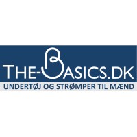 The-Basics.dk logo - Similar company to Moldt Consulting