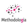MethodologIA logo - Similar company to Criisea