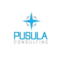 PUSULA CONSULTING logo - Similar company to Code Pro