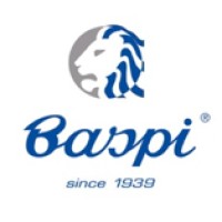 Baspi Bus logo - Similar company to Sefir Firenze
