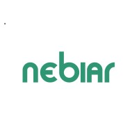 Nebiar Consulting logo - Similar company to Teal Development Partners
