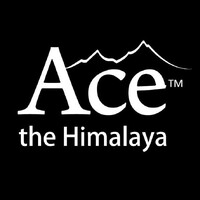Ace the Himalaya logo - Similar company to Leadx Nepal