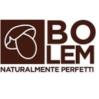BOLEM logo - Similar company to Eltec Lift Srl