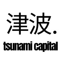 Tsunami Capital logo - Similar company to Tsunami Capital Group, Inc