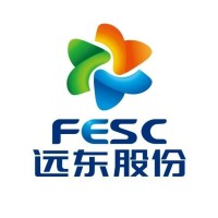 远东股份 Far East Smart Energy logo - Similar company to Zerith