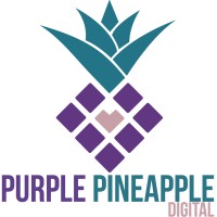 Purple Pineapple Digital Marketing logo - Similar company to Purple Solution