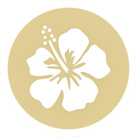 AlohaABA logo - Similar company to Rethinkfirst