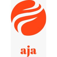Ajapro AI logo - Similar company to Binflate
