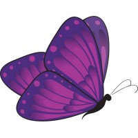 Peace & Harmony Counseling Services, LLC logo - Similar company to Emerge Behavioral Health