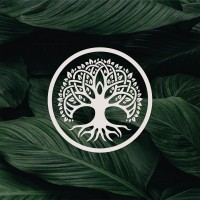 Safe Remedies Ltd logo - Similar company to Trace Collective