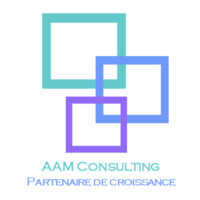 Audit Advisory & Management Consulting (AAM-Consulting SARL) logo - Similar company to 4Vieu