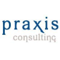 Praxis Consulting logo - Similar company to Ecommerce