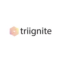Triignite logo - Similar company to Zita