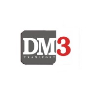 DM3 Transportes Internacionais Ltda logo - Similar company to Phi Global Market