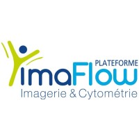 ImaFlow logo - Similar company to T2I Télécom