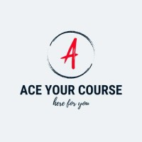 AceYourCourse logo - Similar company to Bitbyte Consulting