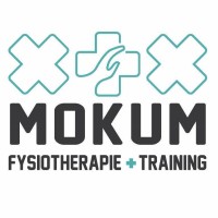 Mokum Fysiotherapie en Training logo - Similar company to Paramedisch Centrum  Paraplus