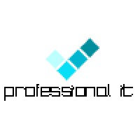 Professional IT (Arg) logo - Similar company to Raytex Fabrics