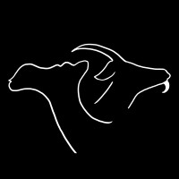 CG-Interactive LLC (FZC) logo - Similar company to Mapleleaf Studios