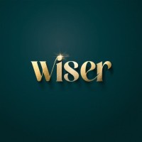 Wiser Casas Inteligentes logo - Similar company to Dream Sites