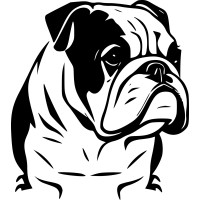 Bulldog Financial Group, LLC logo - Similar company to Planning Works Inc.
