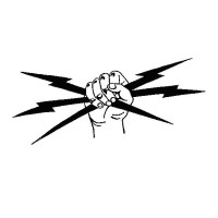 Palm Electric LLC logo - Similar company to Skipper Industries Inc.