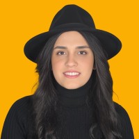 The Magic Hat logo - Similar company to Flyrobin