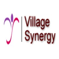 Village Synergy logo - Similar company to Facilitation For Innovations And Sustainable Productivity