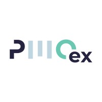 PMO Excellence Center logo - Similar company to Excelsius Consultants