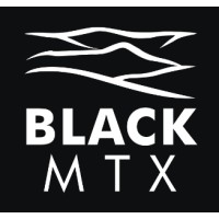 Black Mountain Dynamics logo - Similar company to Moscow Programming School