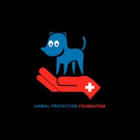 Animal Protection Foundation(APF) logo - Similar company to Refugium.Eu