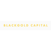 BLACKGOLD CAPITAL LLC logo - Similar company to Blackgold