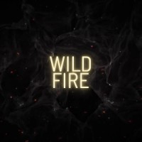 The Wildfire Group logo - Similar company to Pk Consulting Llc