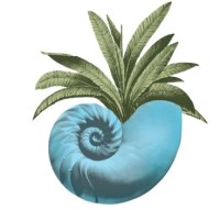 Seabrook Island Club logo - Similar company to Intuitive Golf