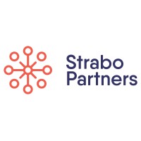 Strabo Partners logo - Similar company to Levridge