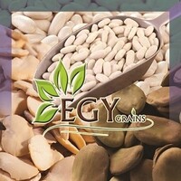 Egy Grains Import & Export Co logo - Similar company to Falcon Export & Import