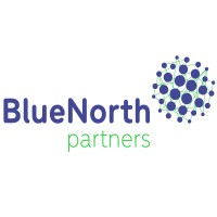 BlueNorth partners logo - Similar company to Blue North