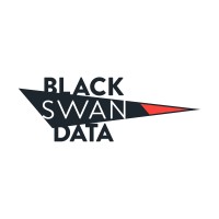 Black Swan Data logo - Similar company to Cast From Clay