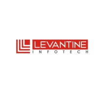 Levantine Infotech logo - Similar company to Perennial Technologies (Enterprise Solution)
