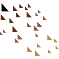 Tessellations Inc. logo - Similar company to Logic Solutions Group