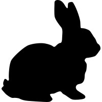 Mediarabbit Latam