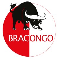 BRACONGO SA - Boissons rafraîchissantes du Congo logo - Similar company to Regideso Sa