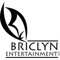 Briclyn Entertainment logo - Similar company to Wired International