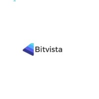 Bitvista Technologies logo - Similar company to Analytixware Technologies Pvt Ltd