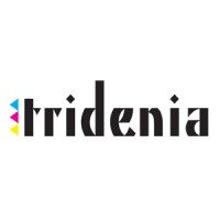Tridenia logo - Similar company to Ómada Interactiva