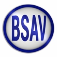 BSAV logo - Similar company to Master Ups