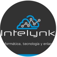Intelynk logo - Similar company to Bugsoft