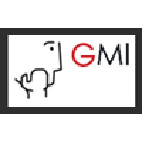 Grey Matter India Technologies logo - Similar company to Idhasoft