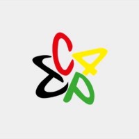 Training Camp logo - Similar company to Nextgrain
