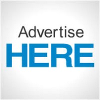 NetPromos logo - Similar company to Radical Elements Consulting Pvt Ltd